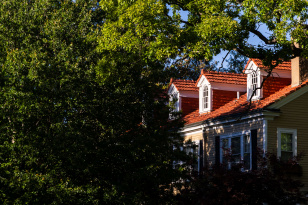Tree-lined residential street in Webster Groves MO with historic craftsman homes for sale near Old Lockwood Avenue