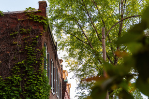 Historic Soulard neighborhood St Louis Missouri with 19th century brick rowhouses and homes for sale near the farmers market zip code 63104