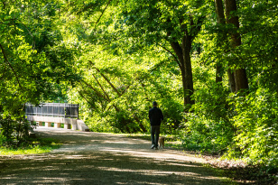 Creve Coeur St Louis Real Estate